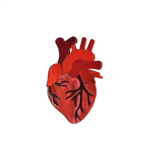 Anatomical Heart Brooch by Cherryloco