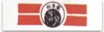 Assorted Martial Arts Headbands