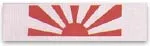 Assorted Martial Arts Headbands