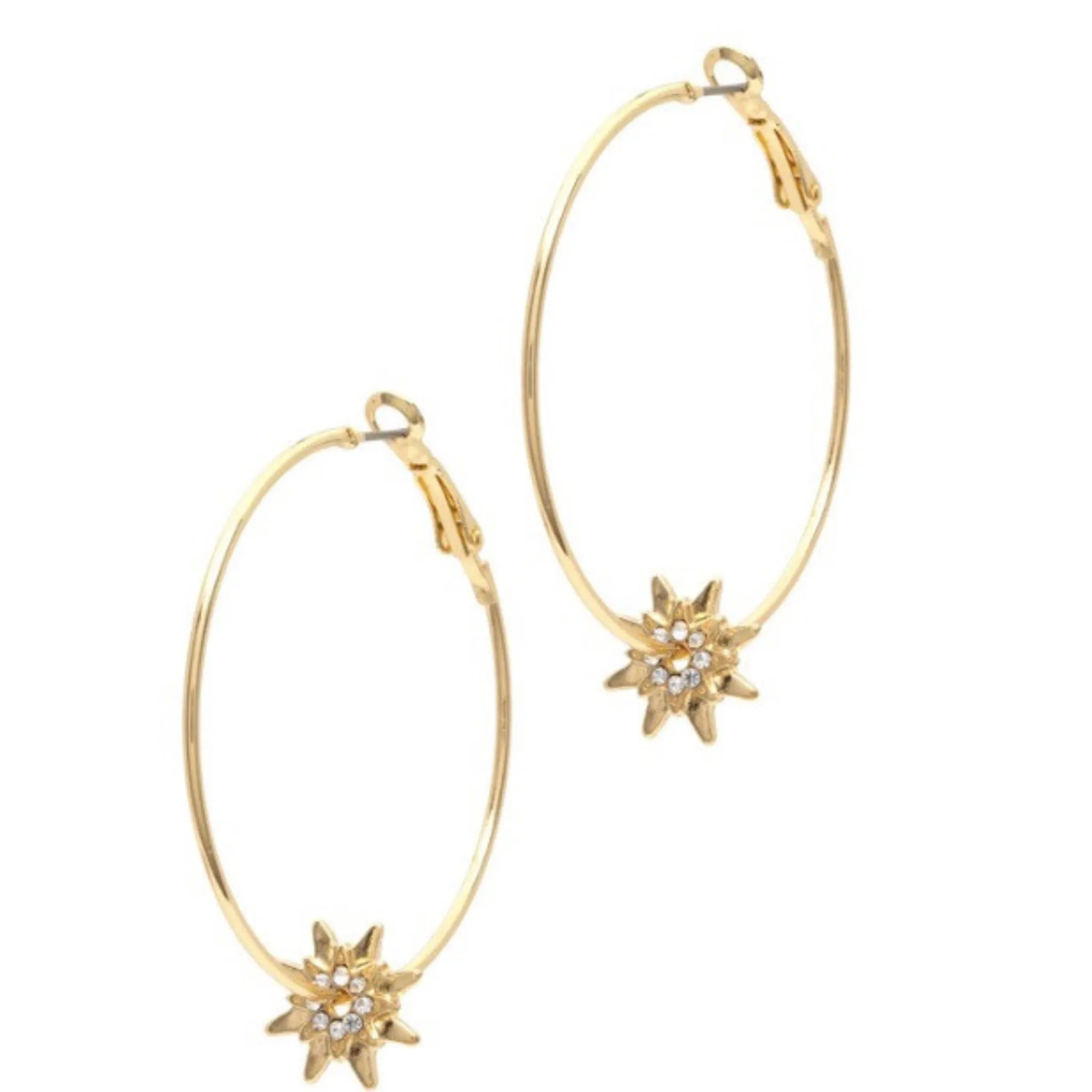 Hoop and Star Earrings